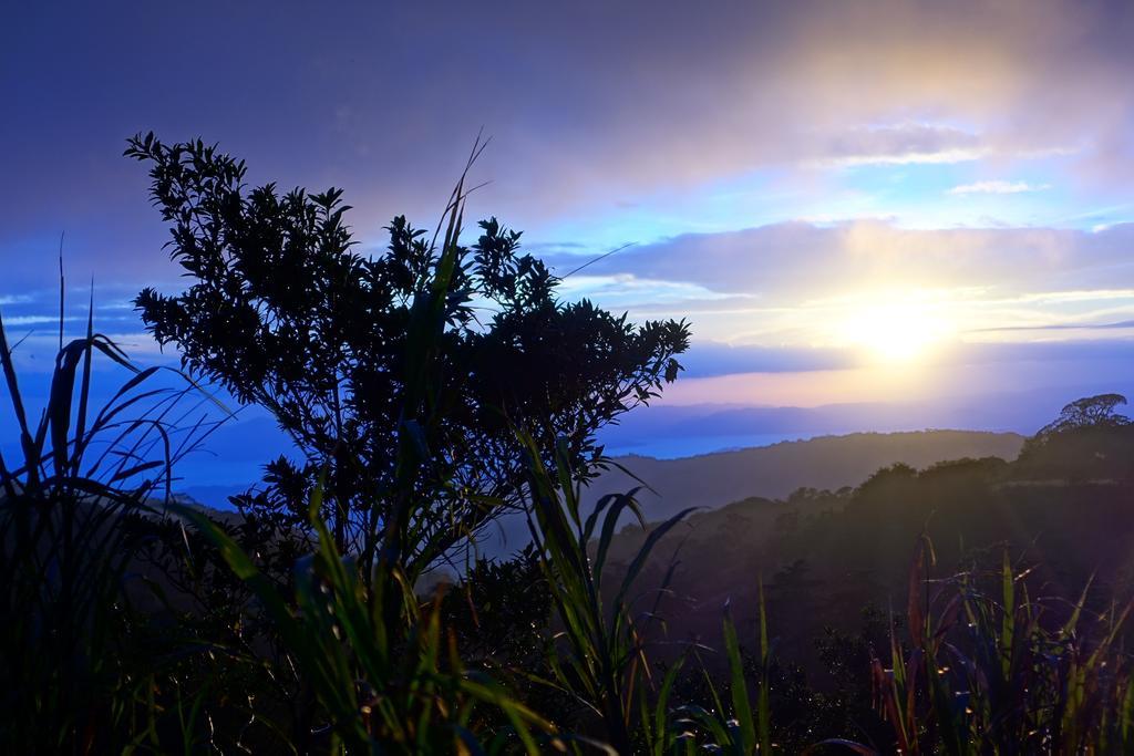 Casa Alquimia Hotel Monteverde ภายนอก รูปภาพ