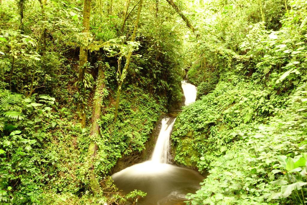 Casa Alquimia Hotel Monteverde ภายนอก รูปภาพ