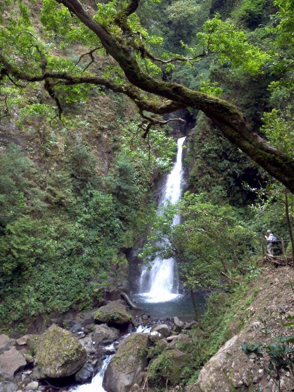 Casa Alquimia Hotel Monteverde ภายนอก รูปภาพ