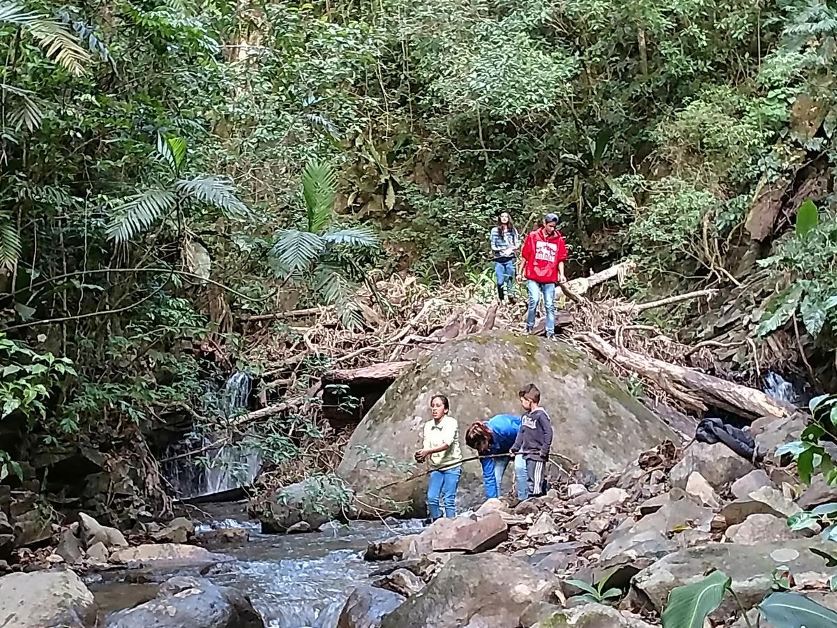 Casa Alquimia Hotel Monteverde ภายนอก รูปภาพ