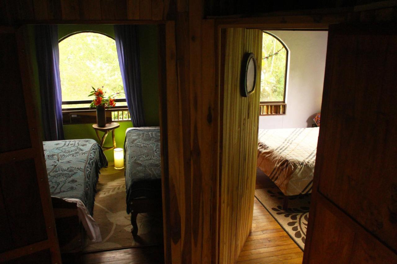 Casa Alquimia Hotel Monteverde ภายนอก รูปภาพ