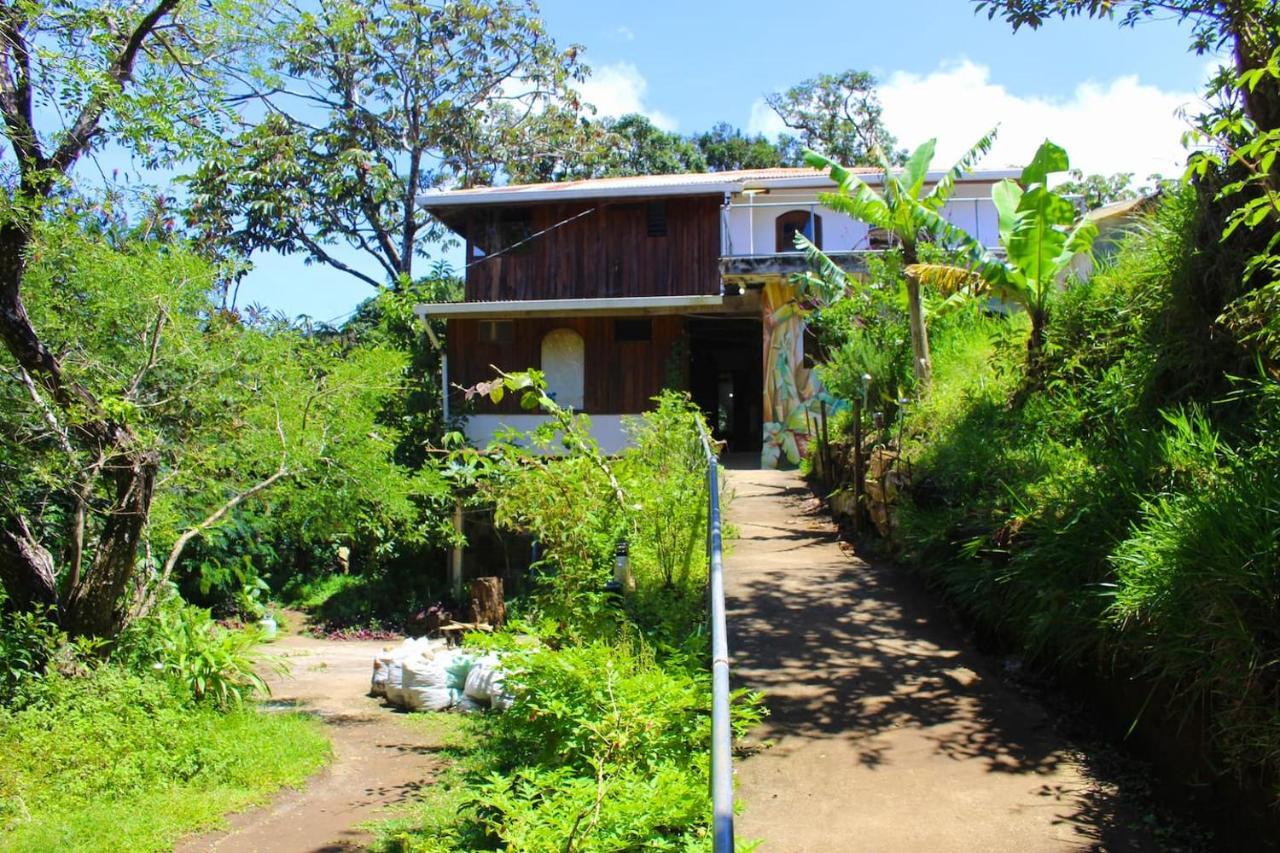 Casa Alquimia Hotel Monteverde ภายนอก รูปภาพ