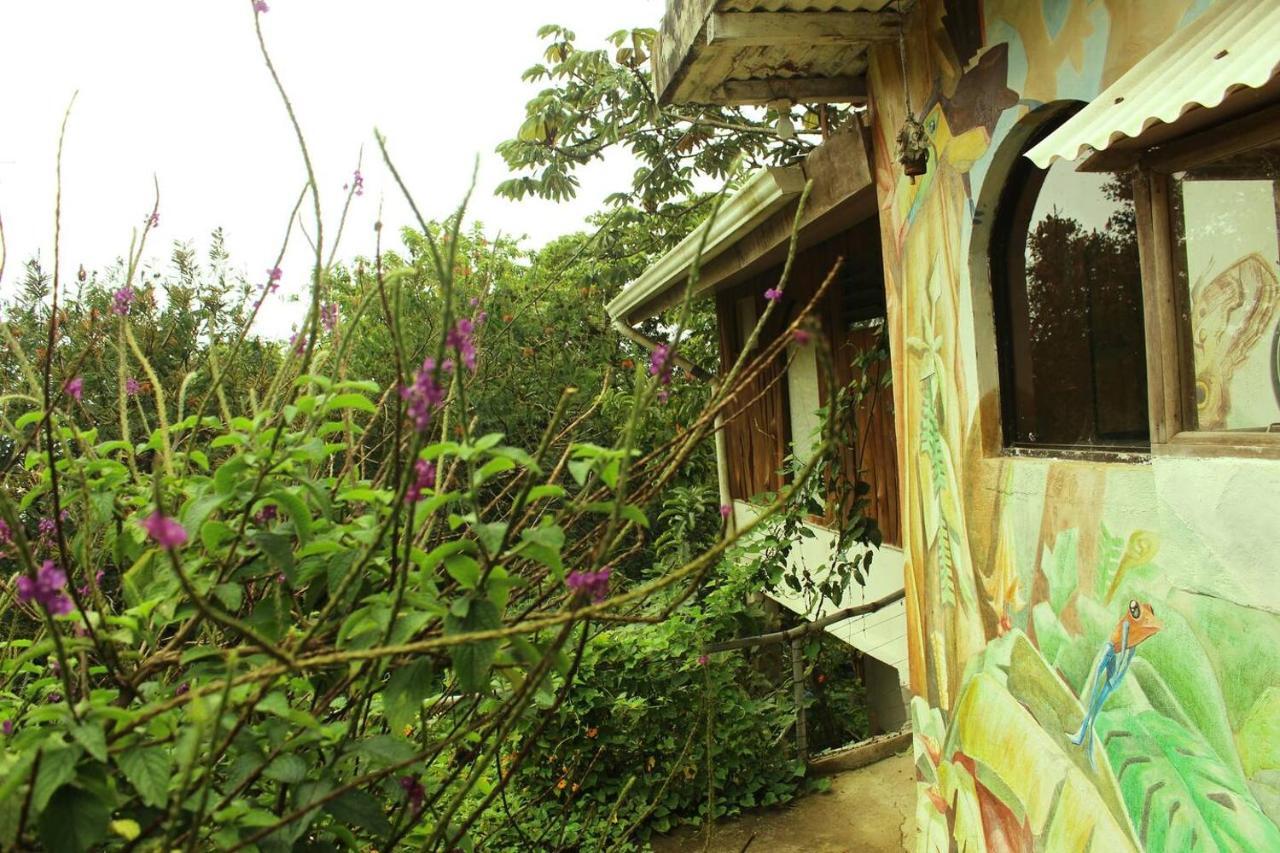 Casa Alquimia Hotel Monteverde ภายนอก รูปภาพ